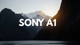 Is the Sony A1 the KING of all HYBRIDS??
