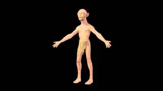 gollum turn table
