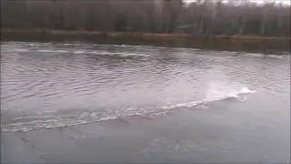 RC Boat FT011
