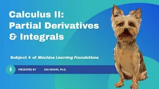Calculus II: Partial Derivatives & Integrals — Subject 4 of Machine Learning Foundations