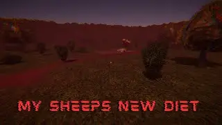 LAMB CHOPS SOUND PRETY GOOD RIGHT NOW (MY DEAR SHEEP)