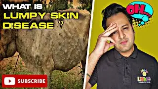 Uncontrolled Lumpy virus is 