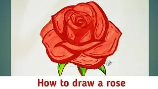 How to draw a rose l How to draw a red rose step by step for beginners