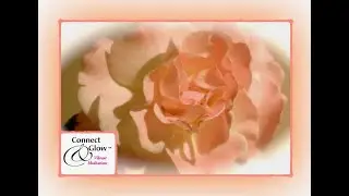 Connect & Glow: All Heart Unity North Kitsap 8 20 20
