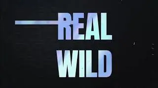 KDA THE BADDEST ft. (G)-DLE, Bea Miller, Wolftyla  LEAGUE SONG 2020