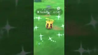 Found shiny flower 🌼  || Shiny Sunkern #pokemon #gaming #anime