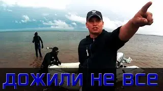 Моторы Гладиатор после сезона в прокате. 9.9 и 5 л.с.