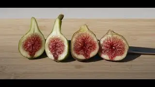 Strawberry Verte and I-258 Fig Tasting (4-9-21)