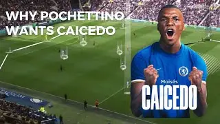 Moises Caicedo player analysis |How Pochettino will fit him in in his Chelsea team|