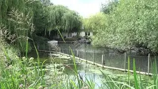 РЕДИНГ // Темза // ЭТЮД на воде