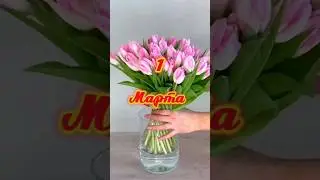 И пусть Весна будет яркая 🌞