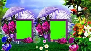 New Wedding Green Screen Background Effects hd Video|| All Green Screen Effects