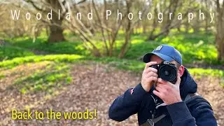 Woodland Landscape Photography - Finally a return to the woods to see what we see!