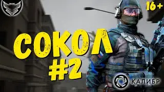 Снайпер Сокол Калибр обзор! 🦊 Номер два
