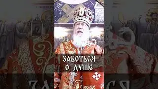 Заботься о душе | еп. Августин (Анисимов)