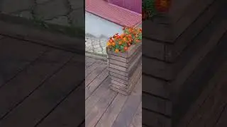 Уныш