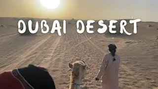 The Dubai Desert Tour - ATVs and Camel Rides