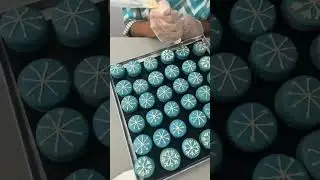 🤔😃CONFEITEIRA, Vamos aprender a FAZER DECORAÇÃO DA FROZEN ou INVERNO nos seus MACARONS? 🤩