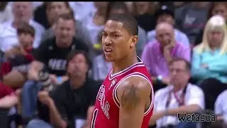 Derrick Rose Career Mix