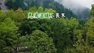 若是有你在我生命中
