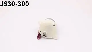 JS30-300