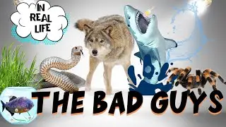 The Bad Guys All Characters In Real Life