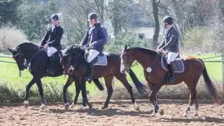 SALBITZ  SPRINGTURNIER - 02.04.2016
