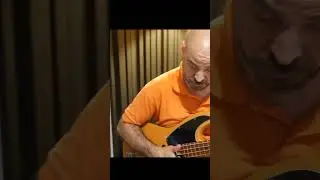 Marcus Miller Sire D5. Precision estilo 50s. #shorts #shortsvideo  Mini Demo en  @MatGuitars1