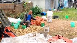 Будет ли время скучать? За какую работу хвататься?