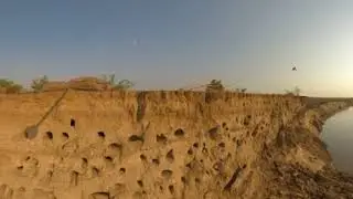 VR Carmine Bee-Eaters Wildlife Safari trip - Photos of Africa @livestreamnature @PhotosofAfrica .