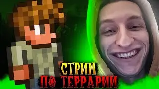 Террария с Августом (Стрим 03.05.23)