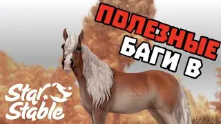 5 ПОЛЕЗНЫХ БАГА ДЛЯ ССОШНИКОВ!||бАГ НЕ БЕСКОНЕЧНУЮ ЕДУ!|| БАГ НА ТАНЕЦ И ХР ЛОШАДИ!||Star Stable
