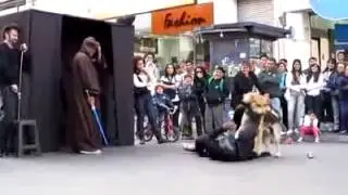 дарт вейдер и собака