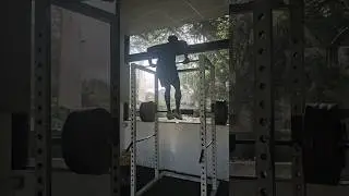 #muscleup #exercise #srilanka #track #athlete #gym #training #shorts #viral #strengthtraining