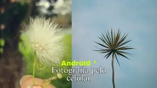 Como tirar fotos pelo celular android