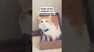 мем 