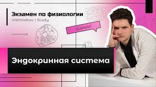 Экзамен по физиологии | ЭНДОКРИННАЯ СИСТЕМА