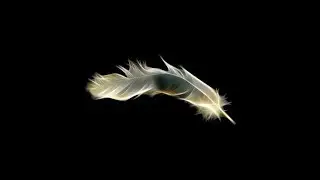 Linux Lite 3.6.......A Distro For All Of Us.