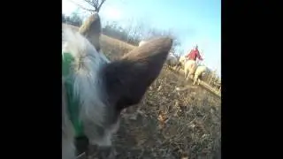 SalGoPro1 15 2017