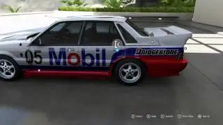 Forza 6 Peter Brock VL Commodore