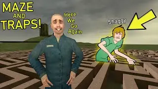 Never Go To Maze - Shaggy