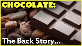 All About Chocolate: History, Process, Types, Cocoa vs Cacao, Fair Trade, Single Origin