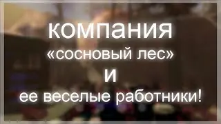 работяги из компании "сосновый лес"