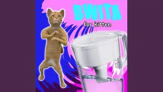 Bwita for Kitten
