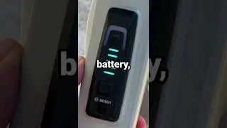 Bosch Powered Bliss! 🔋 