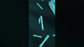 Gene Expression & Mechanism of Regulation