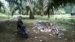 Hasil Panen Rabu Tanggal 6 Nov 2019