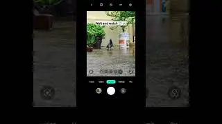 Wait and watch 👀🕊️ | Mobile Photography | Bird Photography #shorts