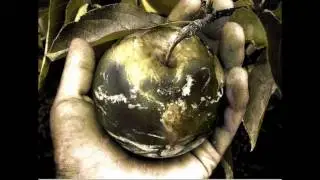 I'm Grateful For Ordinary Miracles Every Day (Happy Thanksgiving!)