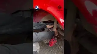 Амор уз 